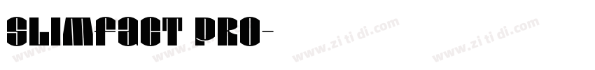 Slimfact Pro字体转换